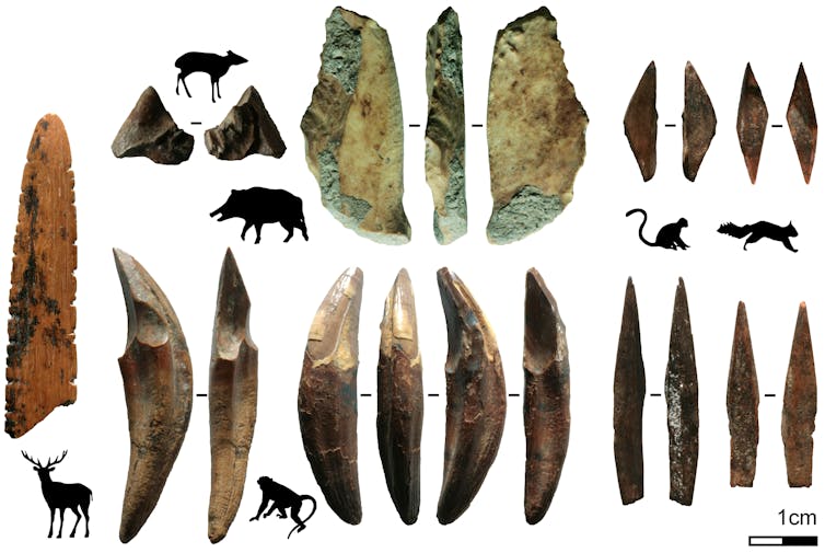 48,000-year-old arrowheads reveal early human innovation in the Sri Lankan rainforest