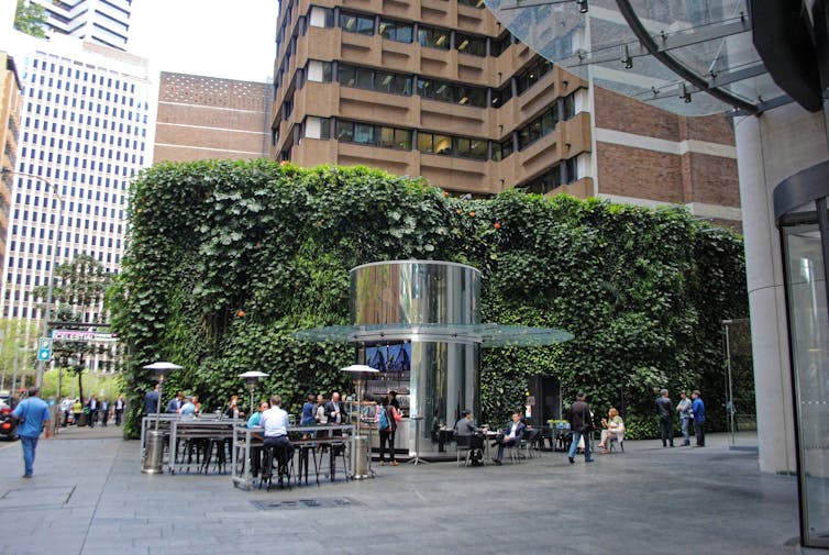 Greening our grey cities: here's how green roofs and walls can flourish in Australia