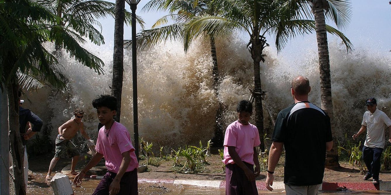 погибшие цунами таиланд