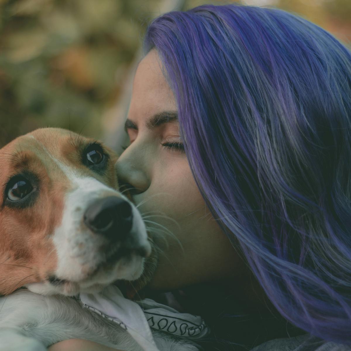 Les Chiens Aussi Font Leur Crise D Ado Les Chiens Aussi Font Leur Crise D Ado