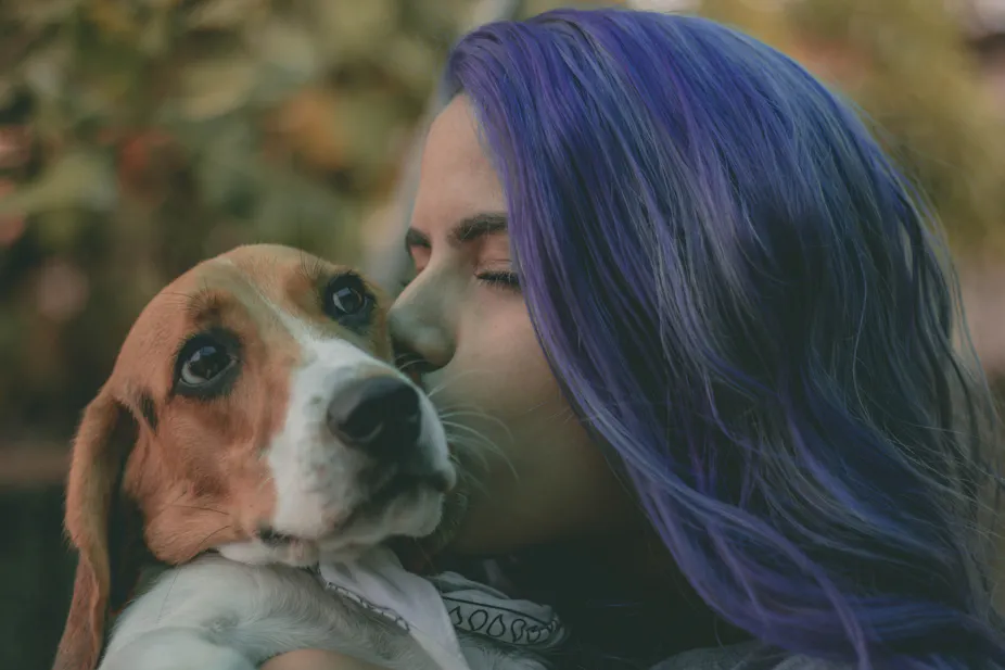 Les Chiens Aussi Font Leur Crise D Ado Les Chiens Aussi Font Leur Crise D Ado