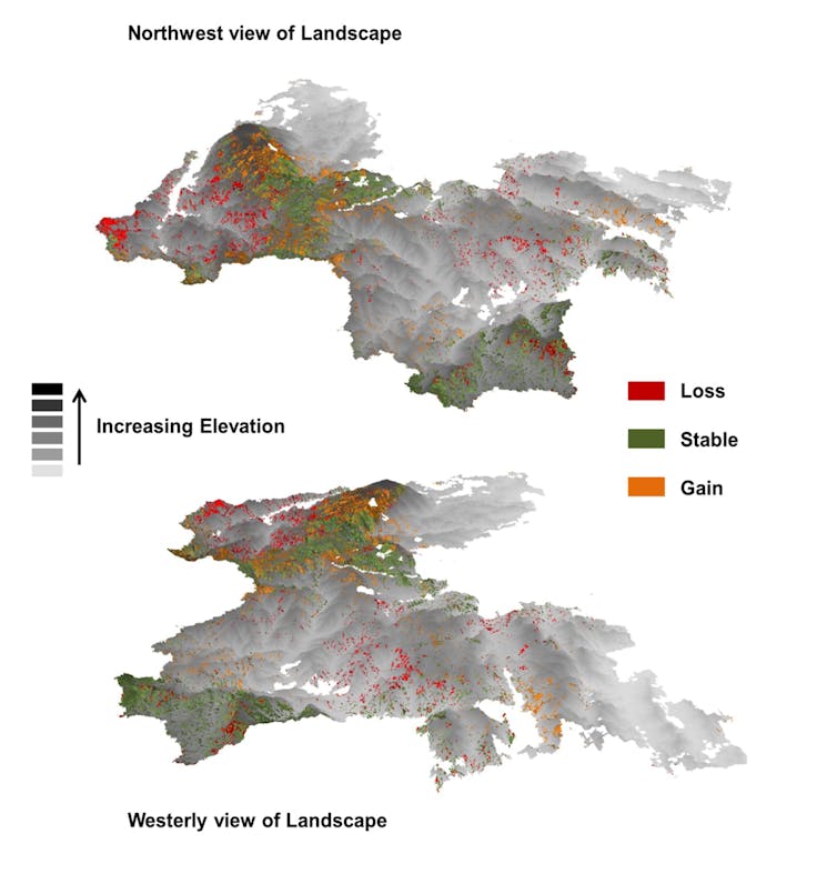 We modelled the future of Leadbeater’s possum habitat and found bushfires, not logging, pose the greatest threat