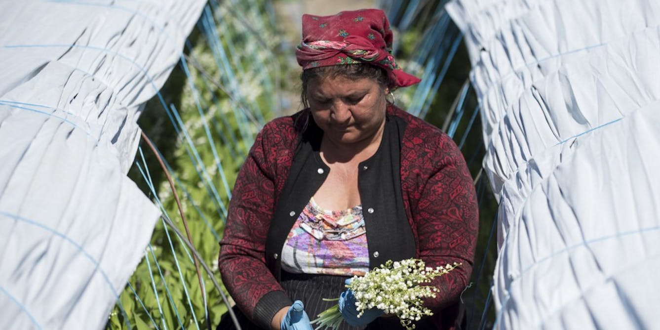 Agriculture : les migrants saisonniers récoltent ce que le Covid-19 a semé