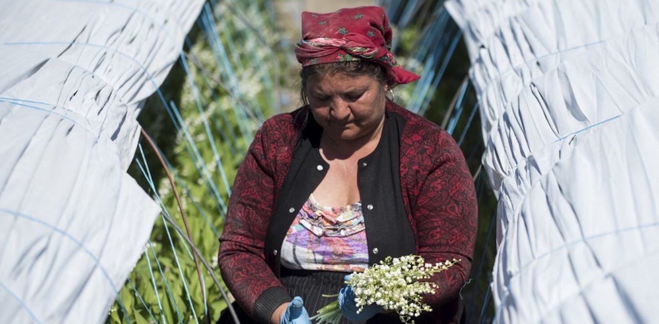 Agriculture : les migrants saisonniers récoltent ce que le Covid-19 a semé