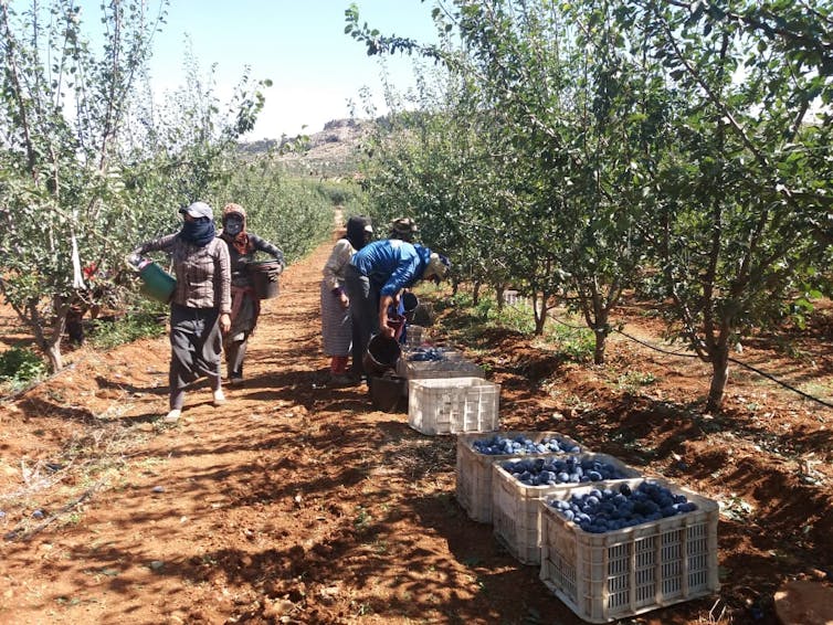 Espagne : La galère des ouvrières immigrées face au Covid-19 5 file 20200608 176580 c4bhpj.jpg?ixlib=rb 1.1