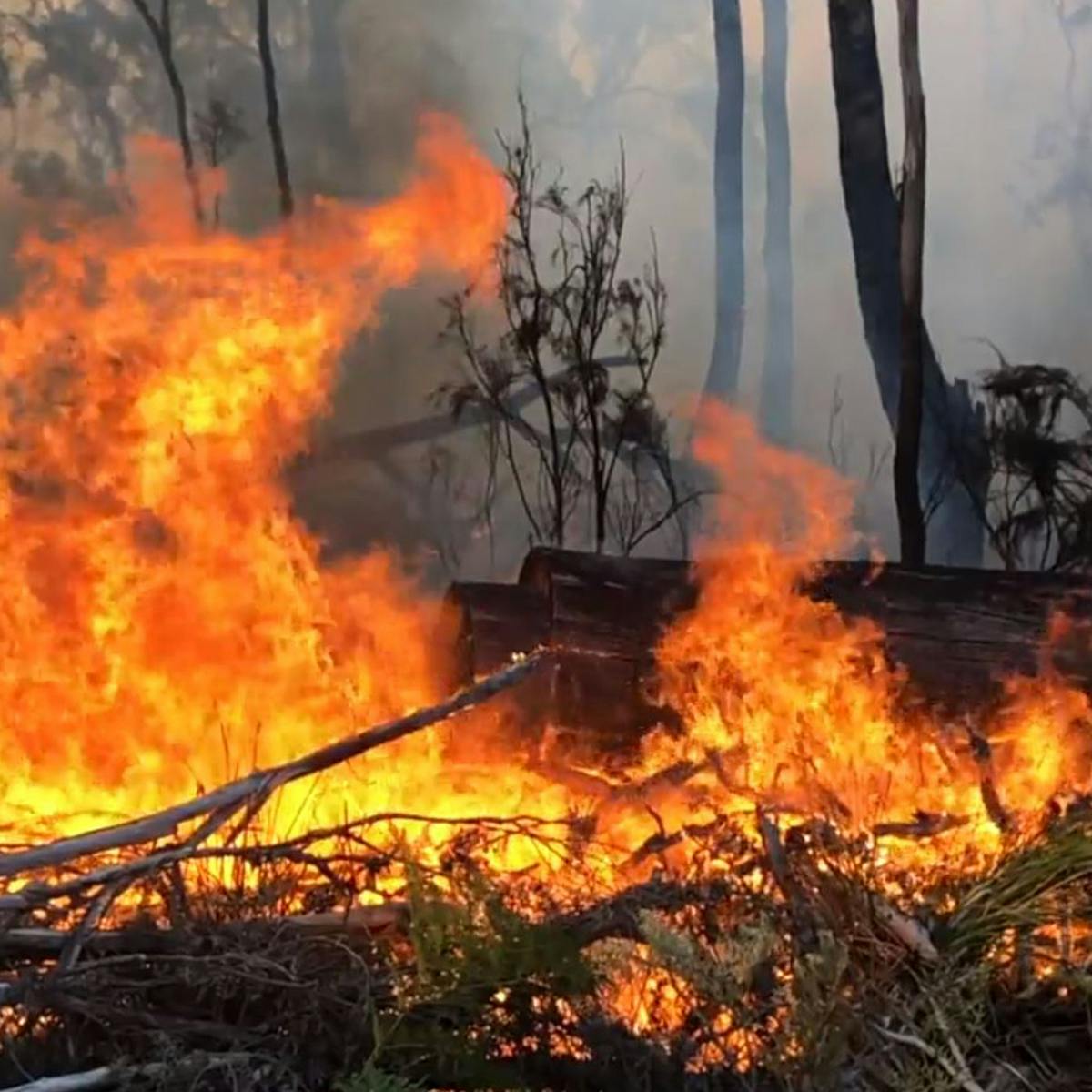 It S 12 Months Since The Last Bushfire Season Began But Don T Expect The Same This Year It S 12 Months Since The Last Bushfire Season Began But Don T Expect The Same This Year