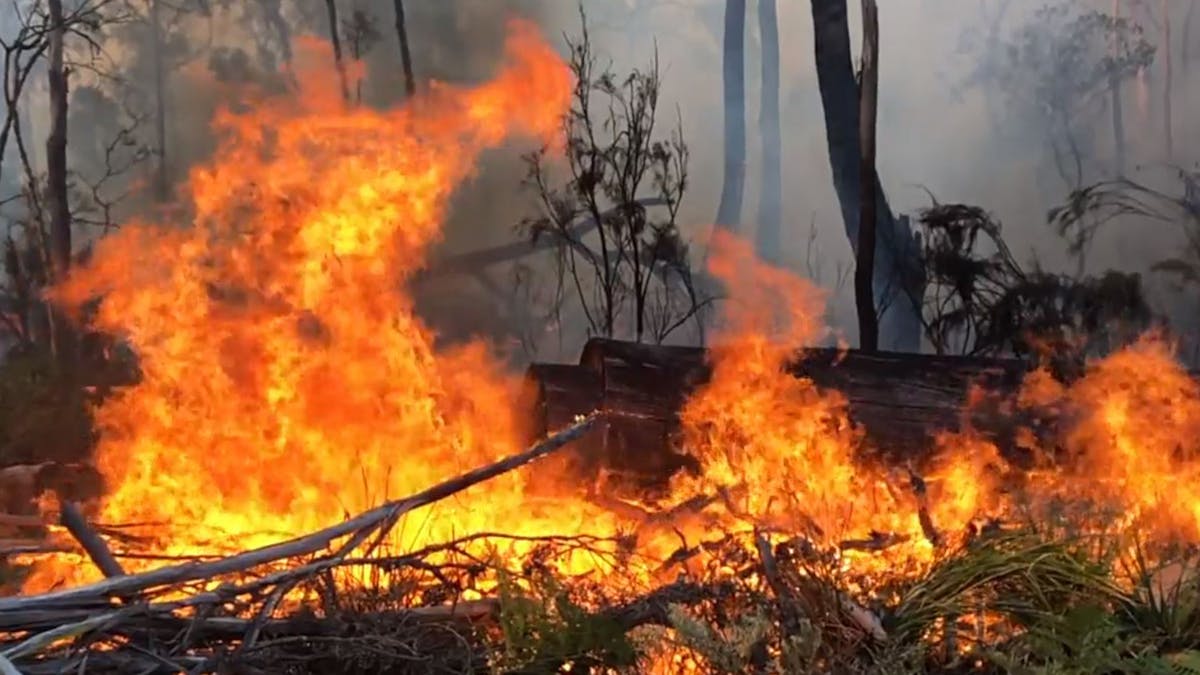 Summer S Bushfires Released More Carbon Dioxide Than Australia Does In A Year Bushfires The Guardian