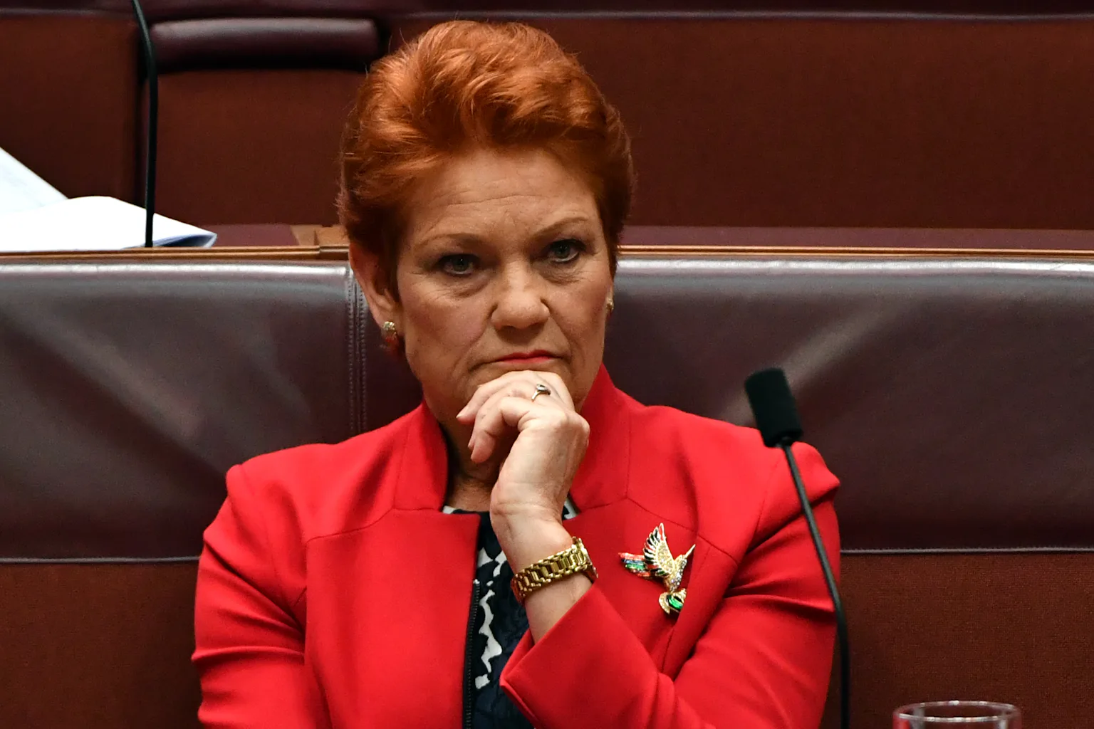 Pauline Hanson built a political career on white victimhood ...