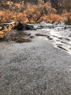 Before and after: see how bushfire and rain turned the Macquarie perch's home to sludge