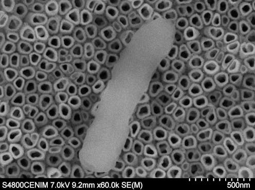 Desde el inicio de la pandemia de COVID-19, equipos de investigación de todo el mundo se han volcado en la búsqueda de vacunas y tratamientos. Pero, ¿cómo puede contribuir la ciencia y tecnología de materiales?
