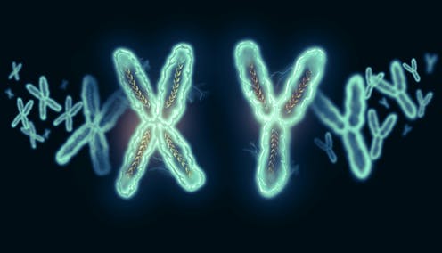 En las últimas semanas hemos escuchado que el coronavirus SARS-CoV-2 afecta más a los hombres que a las mujeres. Las explicaciones dadas suelen apuntar a diferencias biológicas, aunque en ocasiones con cierta confusión. Intentemos clarificar el asunto.