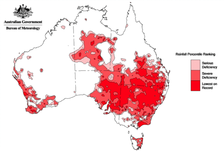 It's 12 months since the last bushfire season began, but don't expect the same this year