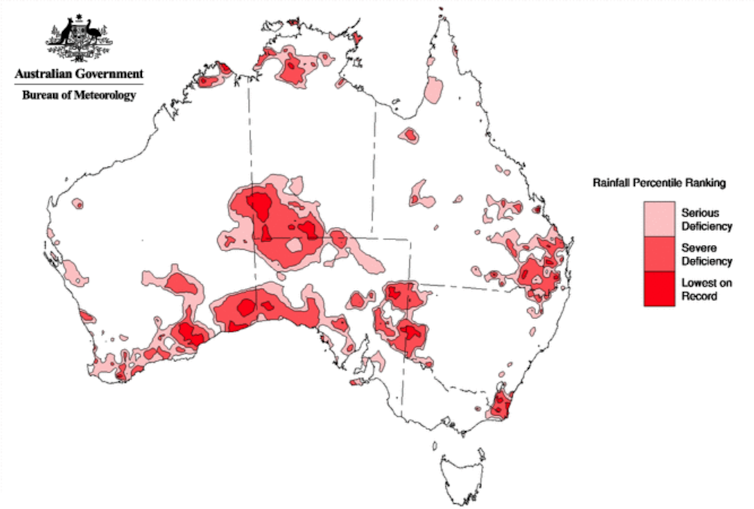 It's 12 months since the last bushfire season began, but don't expect the same this year