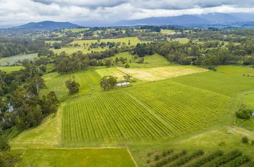 At least 1,241 tonnes of microplastics are dumped into Aussie farmland every year from wastewater sludge