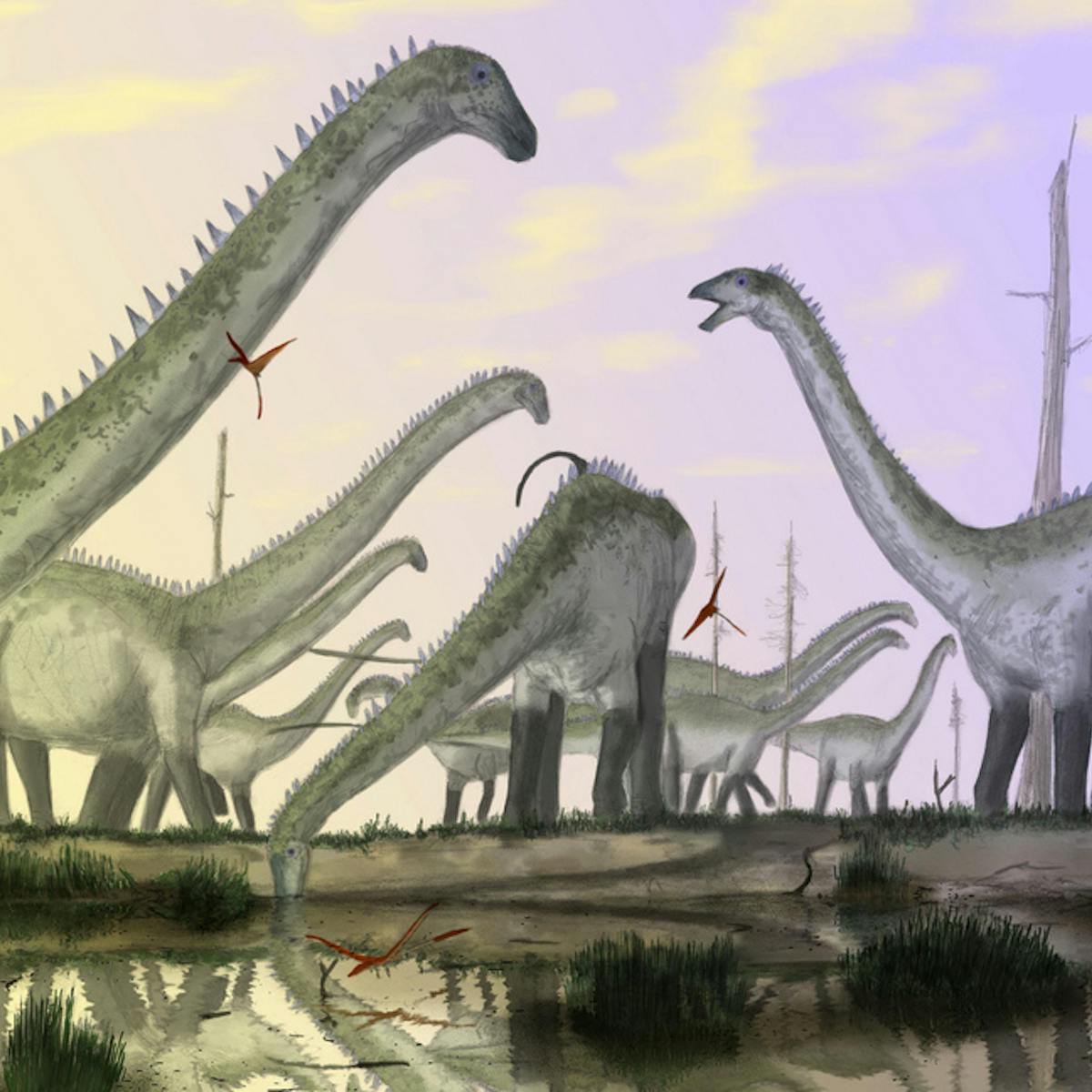Necks question ... how did the biggest dinosaurs get so big?