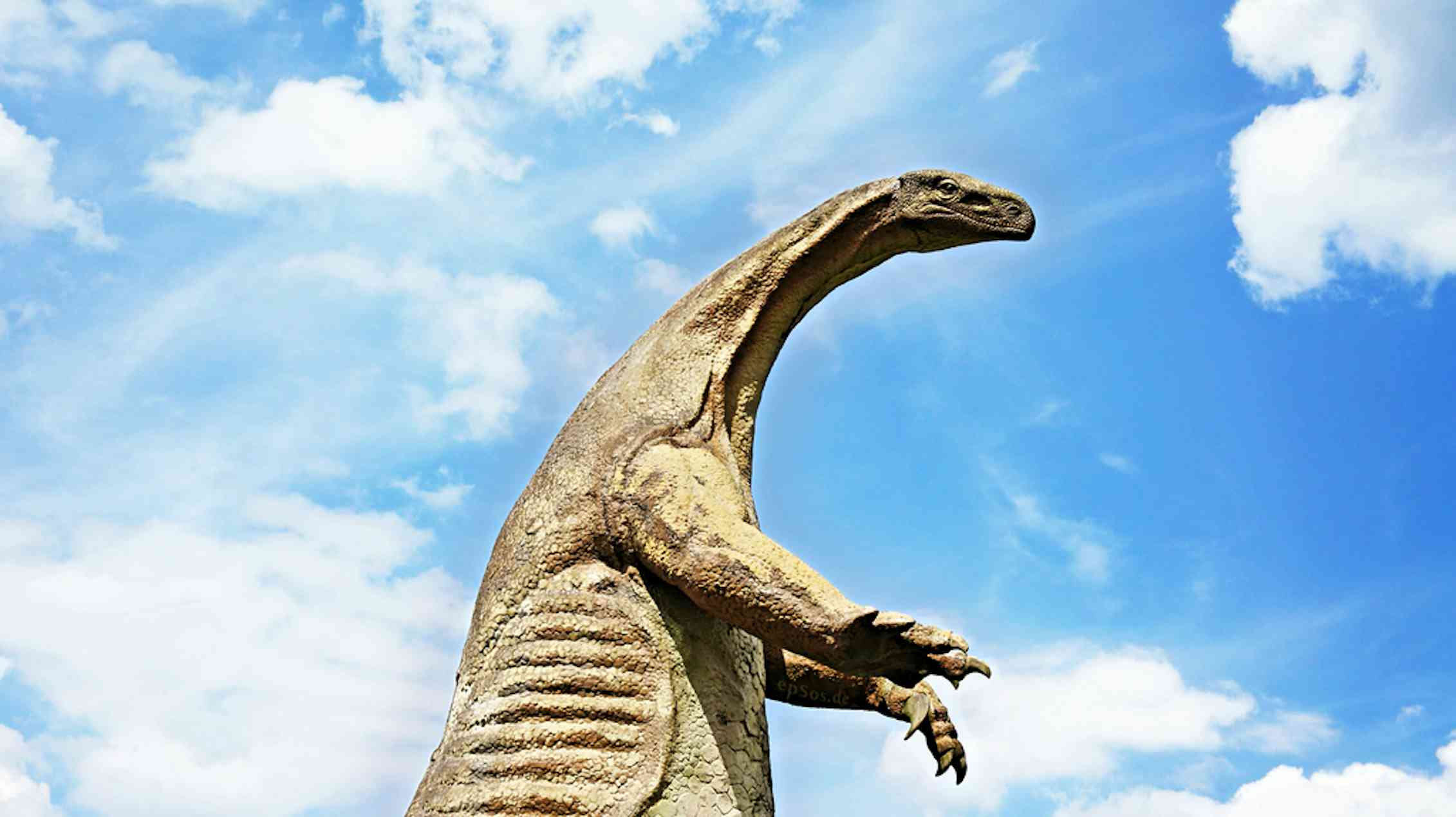 Necks question how did the biggest dinosaurs get so big?
