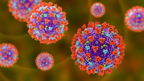 Coronavirus: how T cells are involved and what it might mean for ...