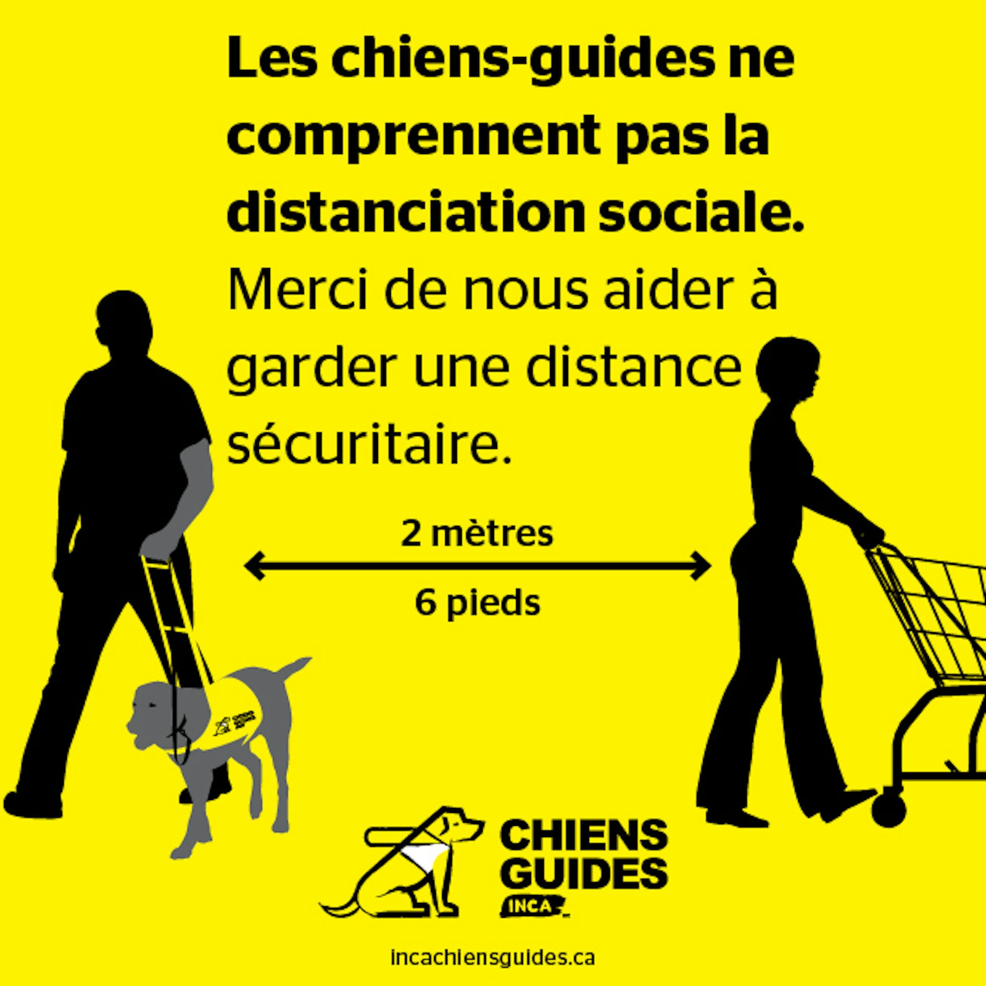 La Covid-19 met des obstacles pour les bénéficiaires de chiens d 