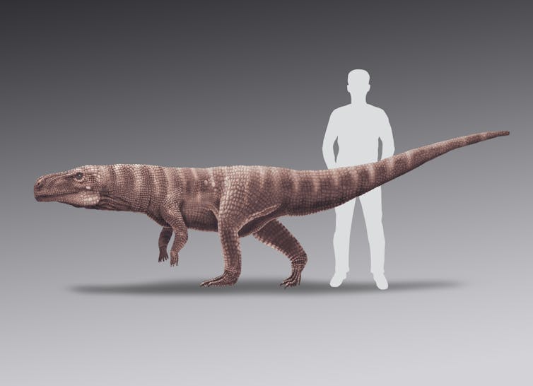 120 million years ago, giant crocodiles walked on two legs in what is now South Korea