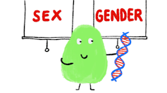 why Tasmania's new gender identity laws are warranted