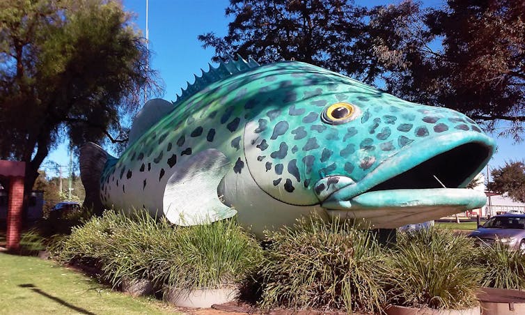 experts react to plans to release 2 million fish into the Murray Darling