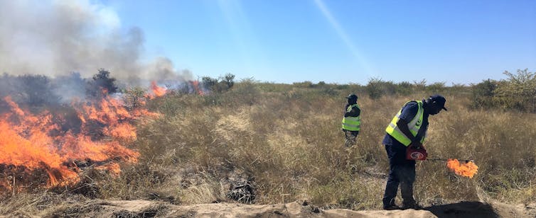 Fighting fire with fire: Botswana adopts Indigenous Australians' ancient burning tradition