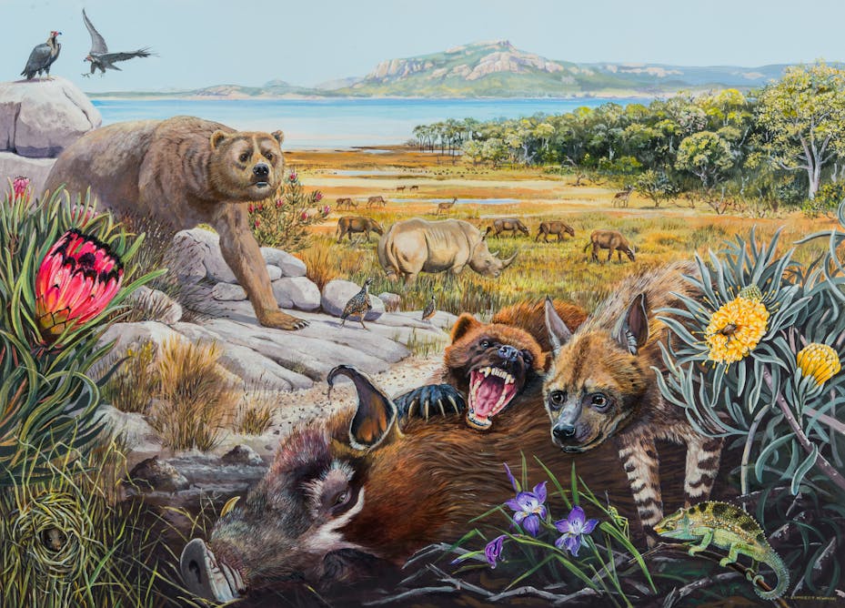 Их там было множество. Фауна плейстоцена. Плейстоценовая фауна Южной Америки. Мегафауна плейстоцена. Мегафауна Африки.