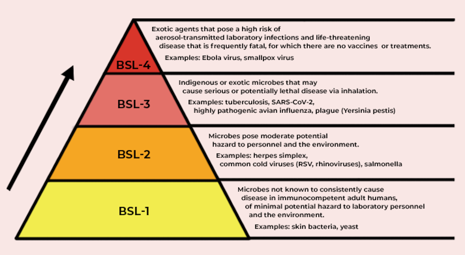 Pyramid with biosafety levels in yellow to red