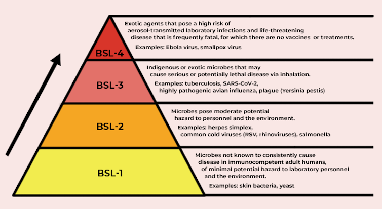 Pyramid with biosafety levels in yellow to red