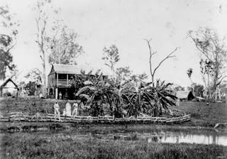 From Louisiana To Queensland How American Slave Owners Started