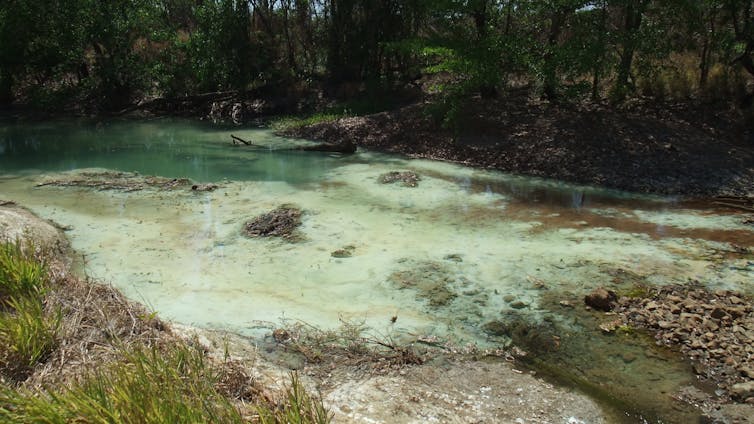 why we must fight miners' push to fast-track uranium mines