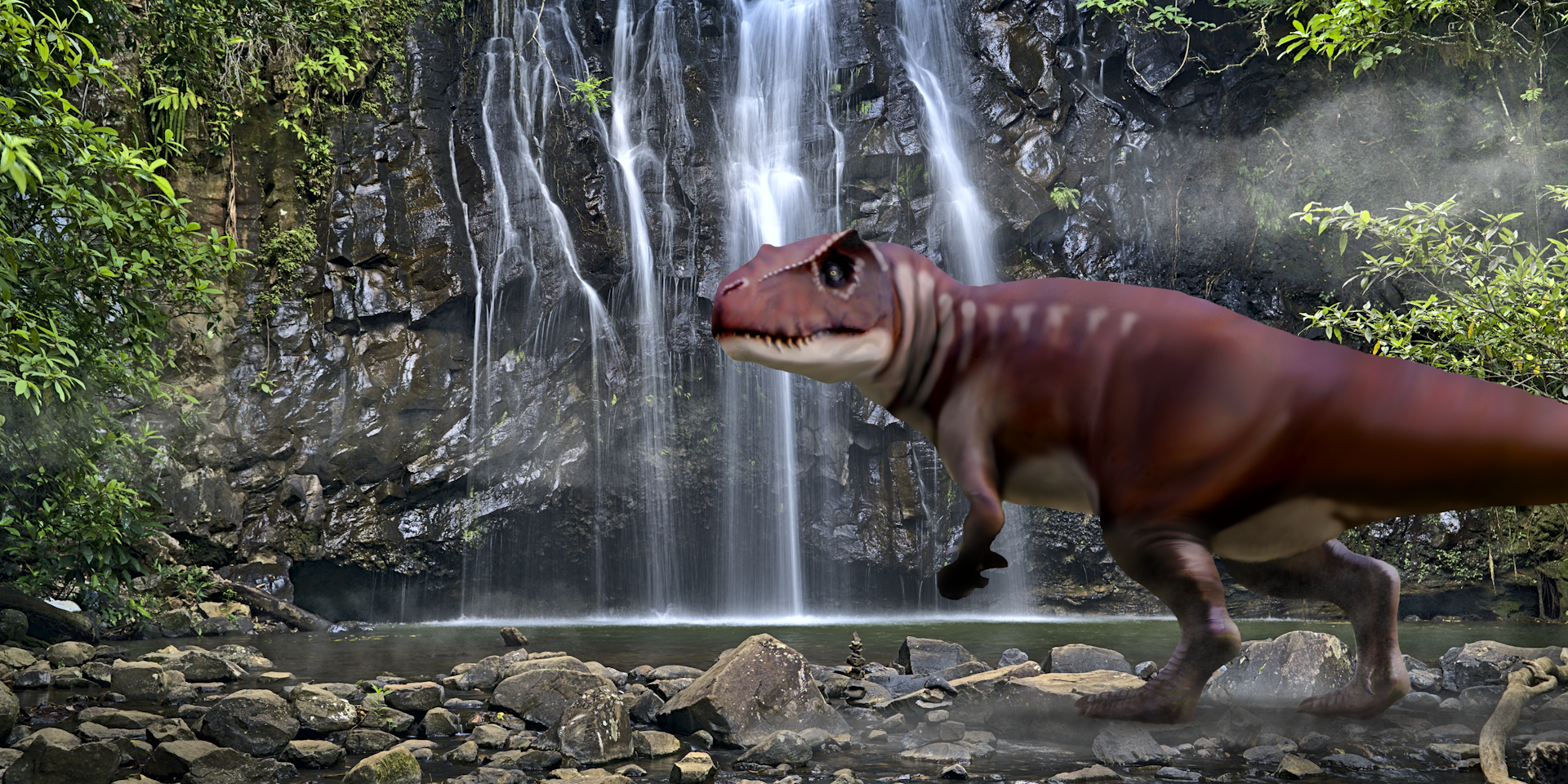 Dinosaur footprints show predators as big as 'T. rex' stomped across Australia 160 million years ago