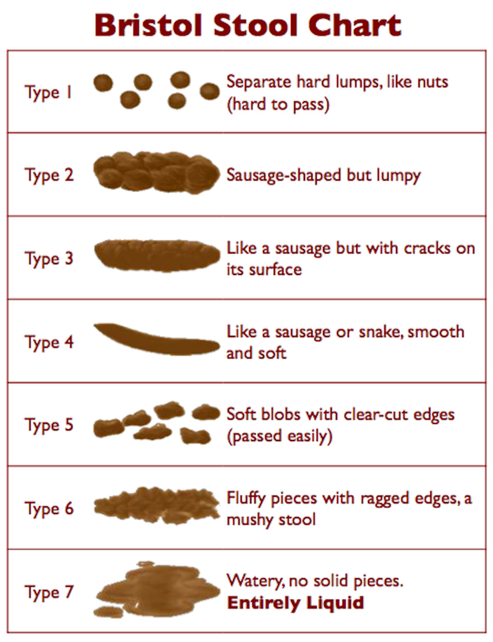 Health Check Should We Aim For Daily Bowel Movements Health Check Should We Aim For Daily Bowel Movements