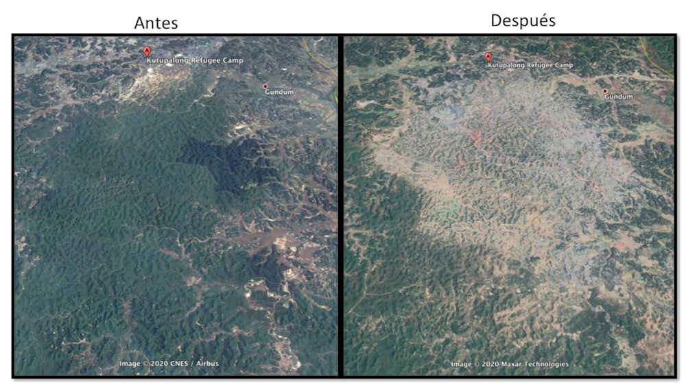 covid 19 conservacion de la naturaleza