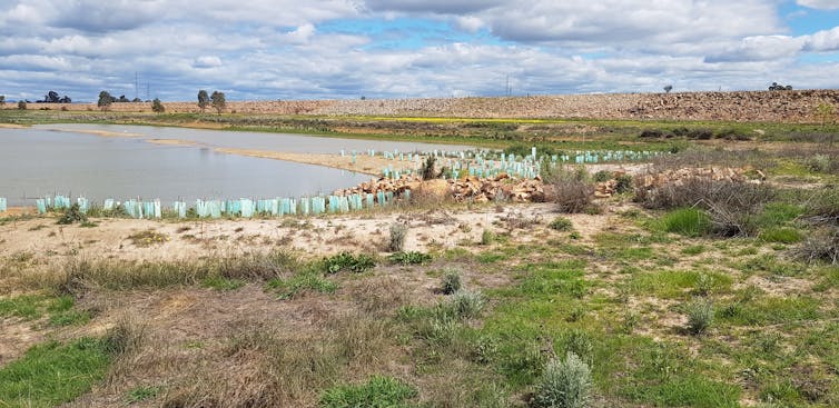 the success story of the Winton Wetlands