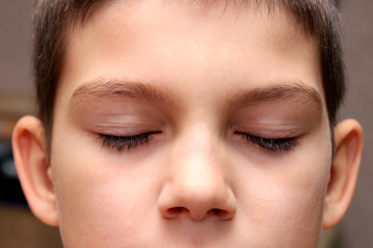 Curious Kids: why are our top eyelashes longer than our bottom eyelashes?