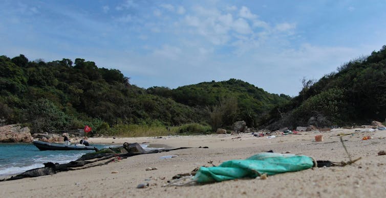 file-20200622-54981-14p74xl.jpg?ixlib=rb-1.1.0&q=45&auto=format&w=754&fit=clip