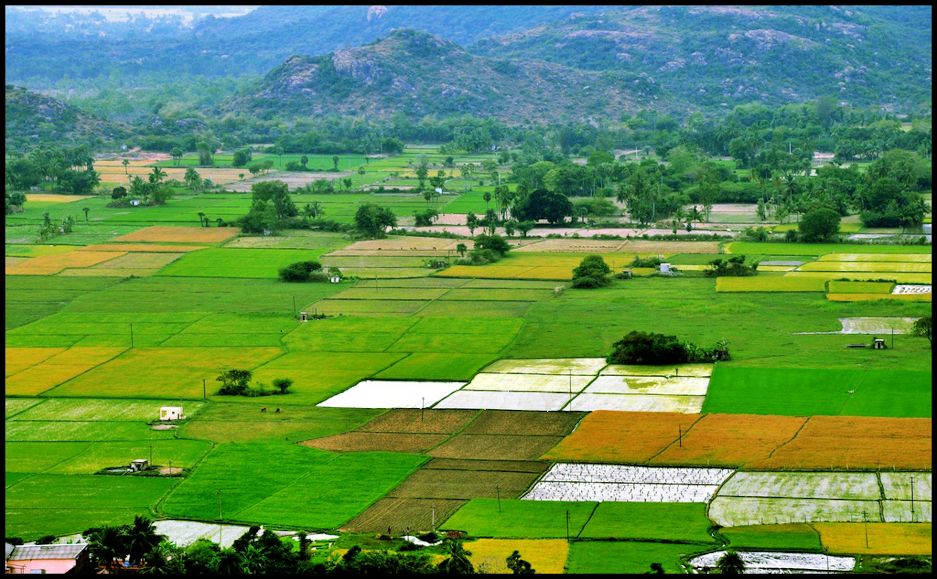 Food Vs Fauna Can We Have Our Biodiversity And Eat Too - 