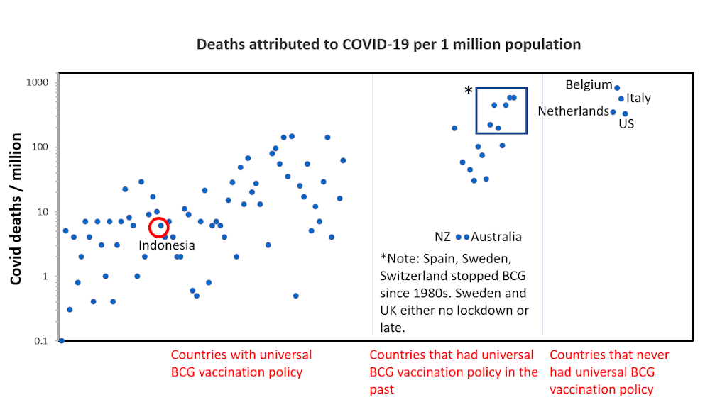 Indonesia Should Explore Whether Tuberculosis Vaccine Bcg Can Protect Against Covid 19