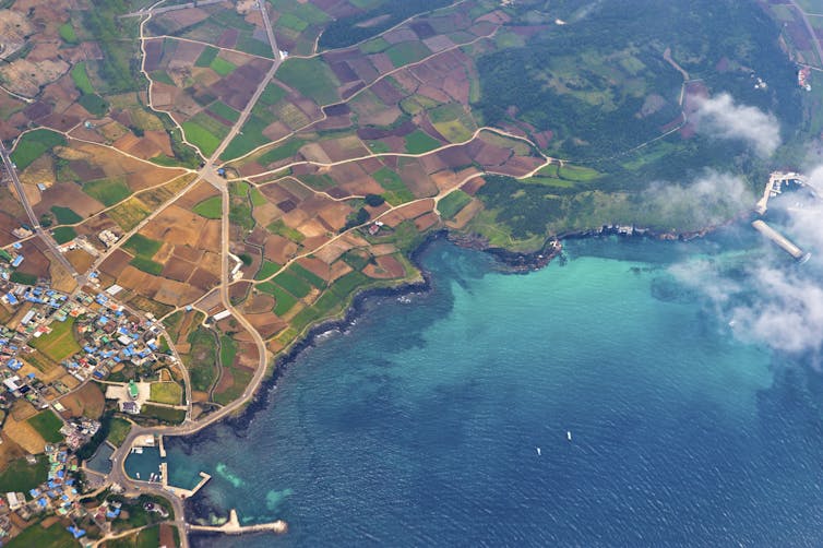 Bagaimana Memperbaiki Hubungan Kita Dengan Alam Usai Coronavirus Bagaimana Memperbaiki Hubungan Kita Dengan Alam Usai Coronavirus