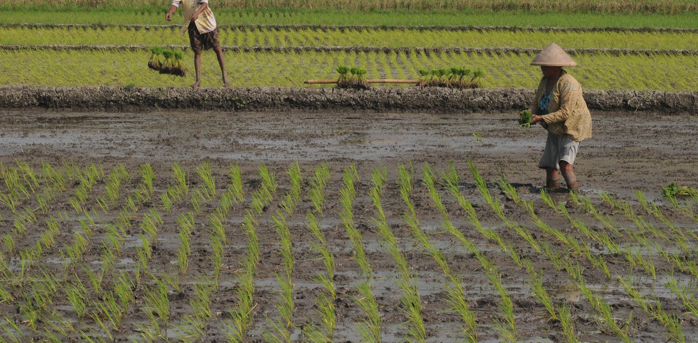 Logika Sektoral Dan Pasar Menjadi Masalah Utama Dalam Pelaksanaan Reforma Agraria Di Indonesia