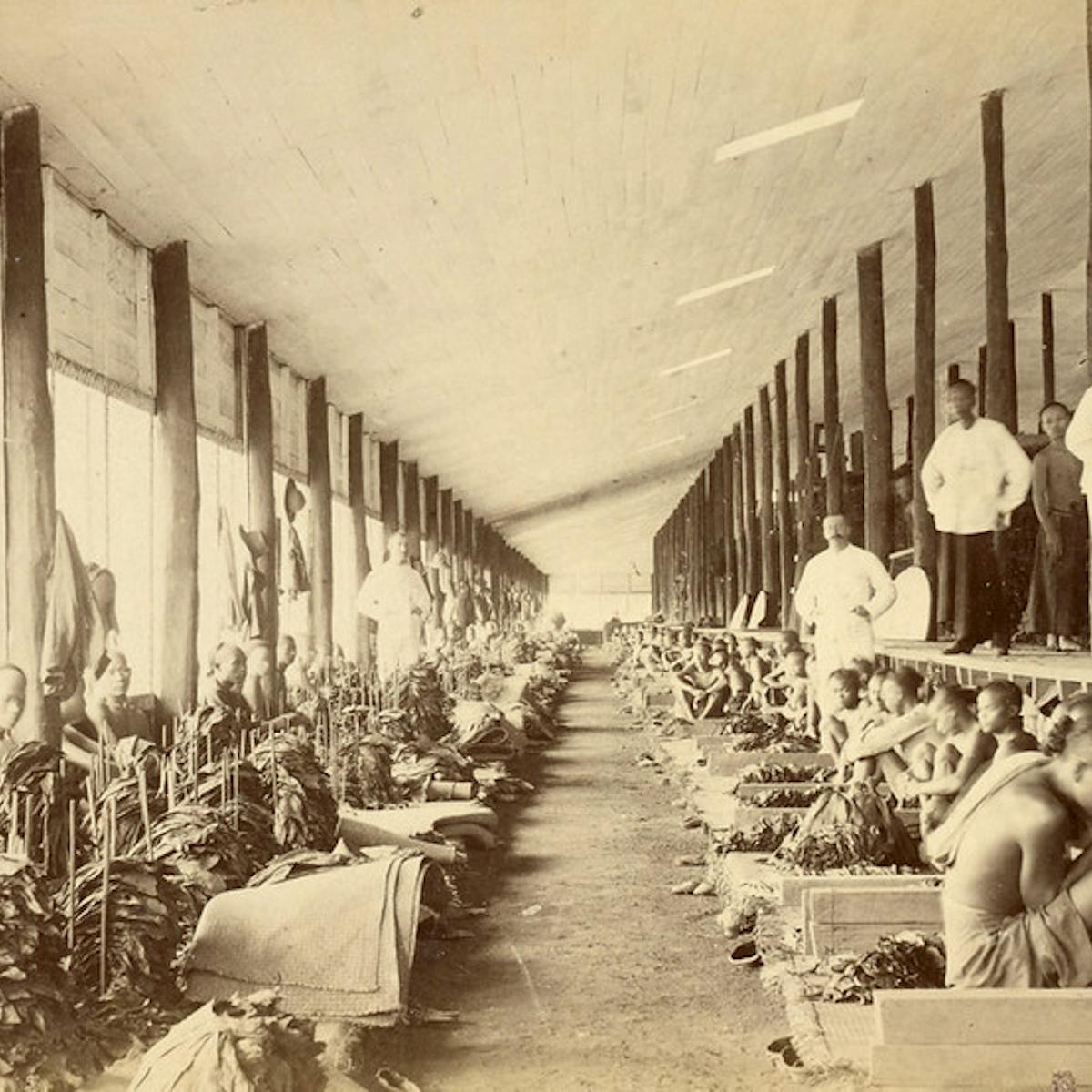 The Dark History Of Slavery And Racism In Indonesia During The