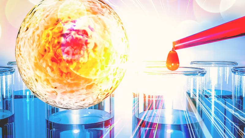 ¿Una célula artificial? Elemental, querido Watson ¿Una célula artificial? Elemental, querido Watson