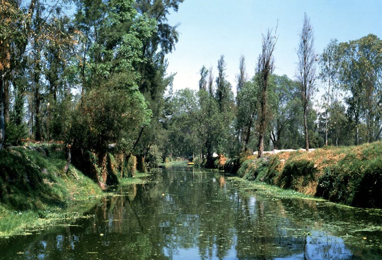 Mexico City buried its rivers to prevent disease and unwittingly created a dry, polluted city where COVID-19 now thrives