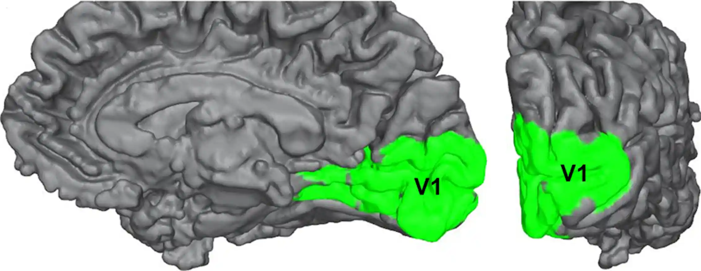Blindsight: a strange neurological condition that could help explain ...