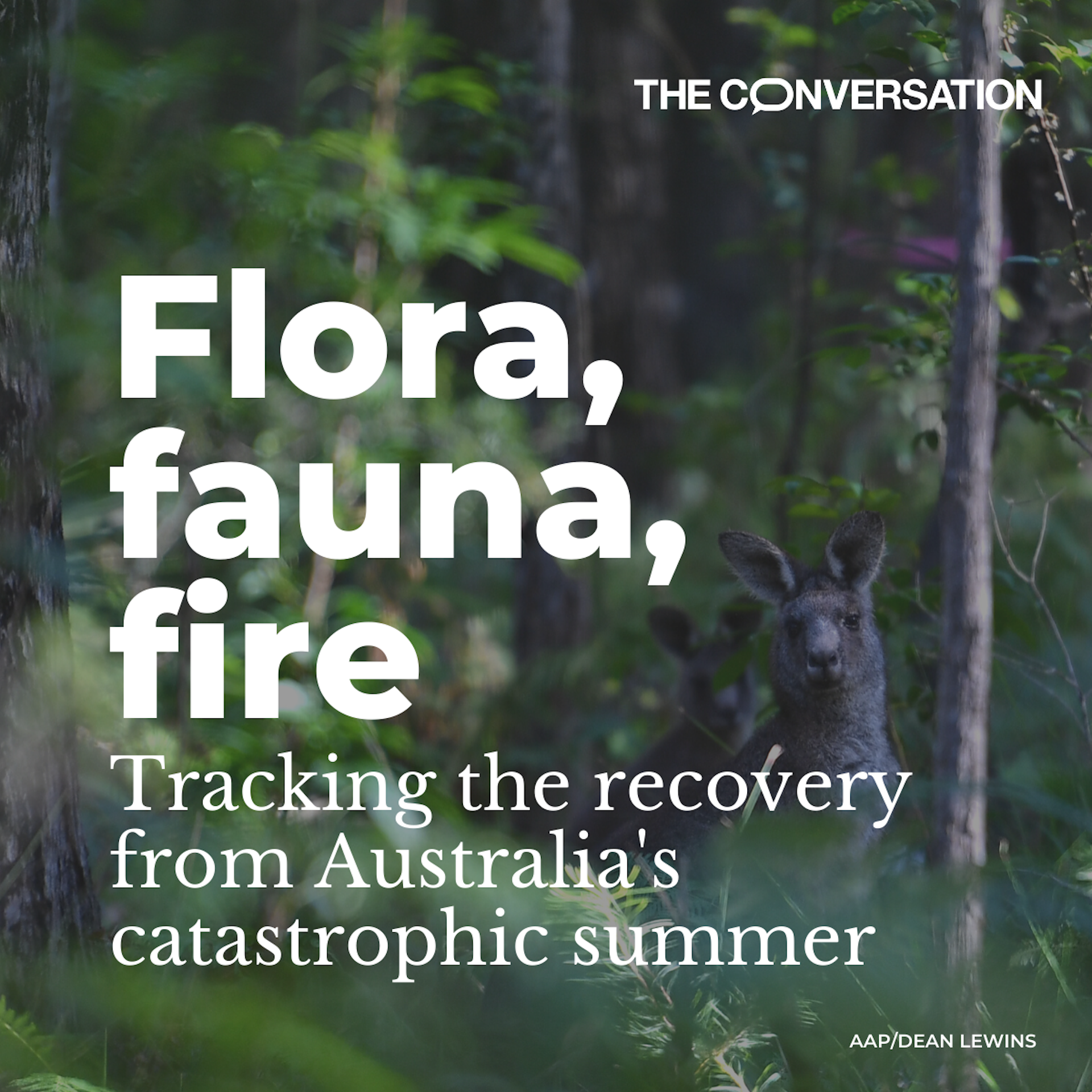 Click through to explore