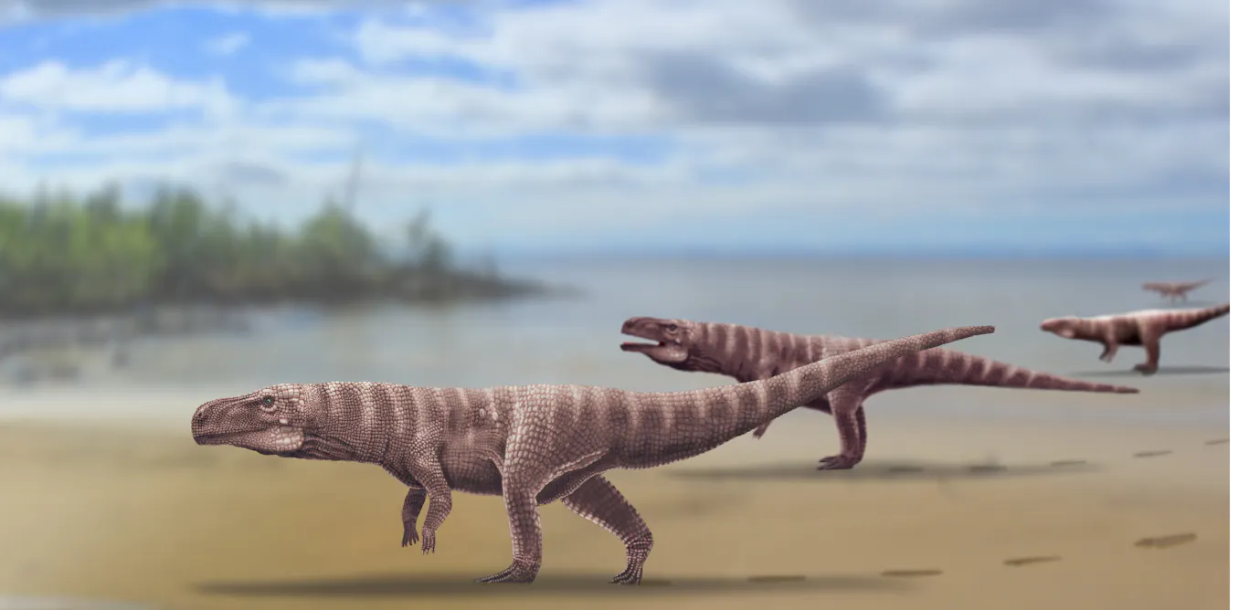 120 Juta Tahun Yang Lalu Buaya Raksasa Berkaki Dua Ini Menjelajah Wilayah Korea Selatan