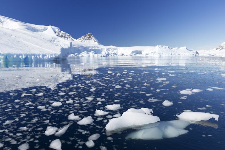 Marine life found in ancient Antarctica ice helps solve a carbon dioxide puzzle from the ice age