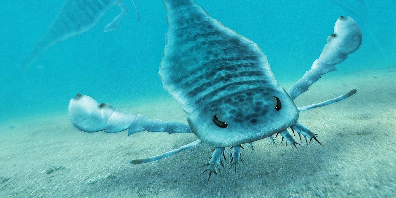 prehistoric sea arthropods