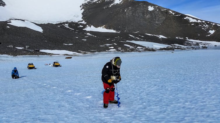 Marine life found in ancient Antarctica ice helps solve a carbon dioxide puzzle from the ice age